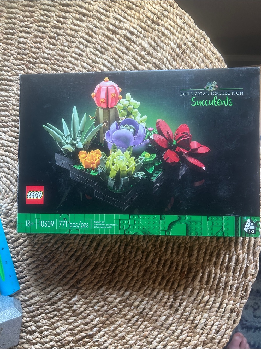 Lego botanical collection succulents.